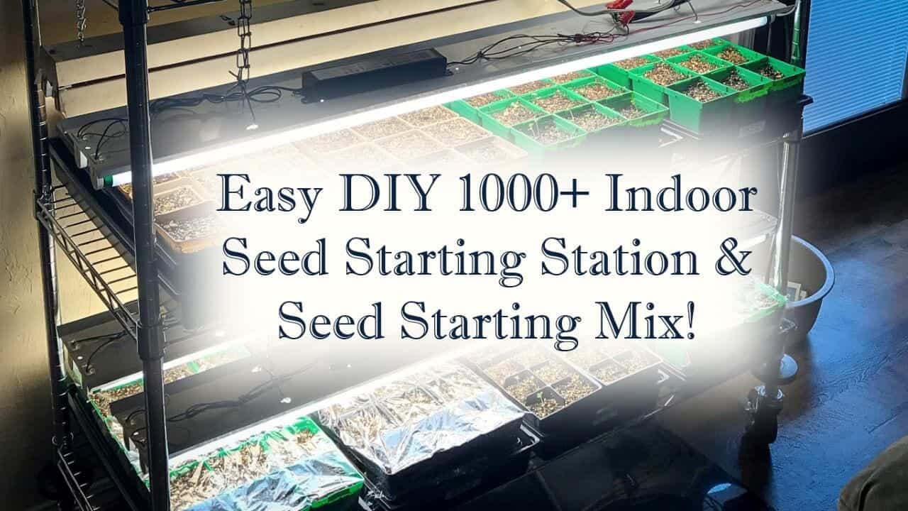 Seed starting header