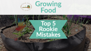 top rookie mistakes