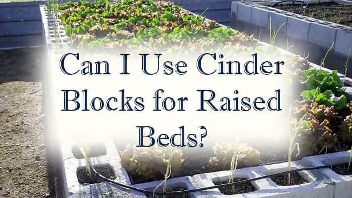 Faq Can I Build A Raised Bed Out Of Cinder Blocks Instead Of Wood From Seed To Spoon Vegetable Garden Planner Mobile App