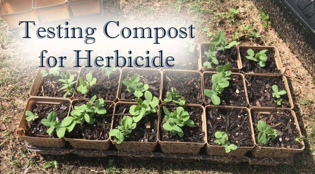 Testing compost for herbicide