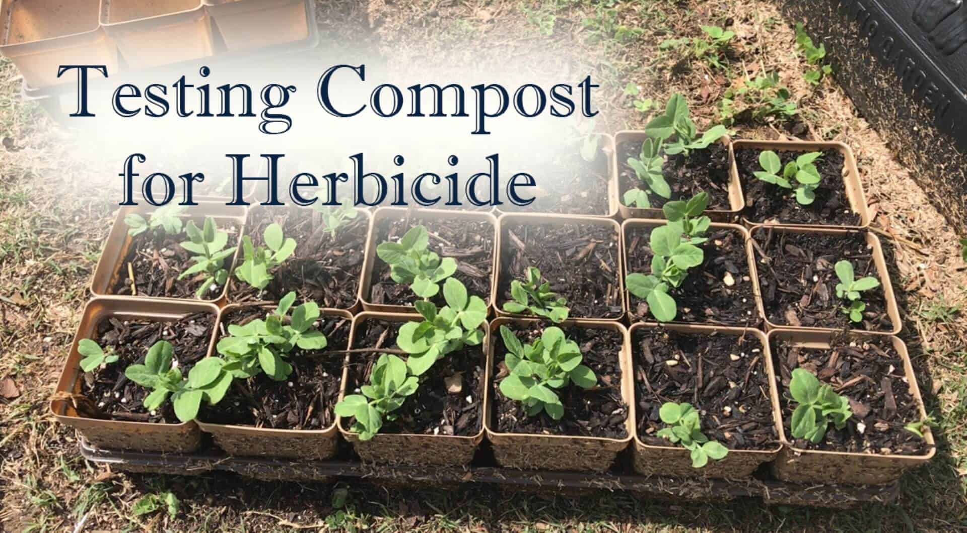 Testing compost for herbicide