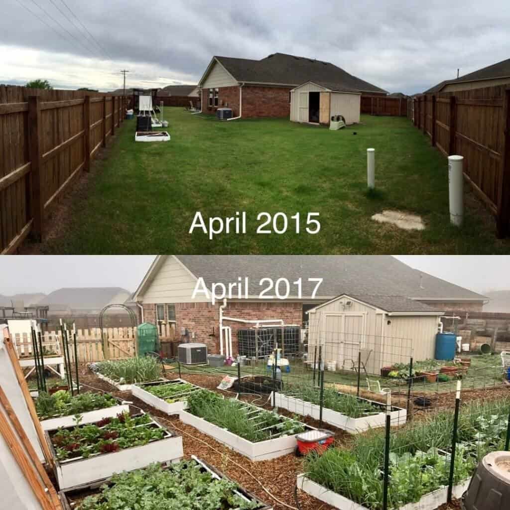 Garden before and after