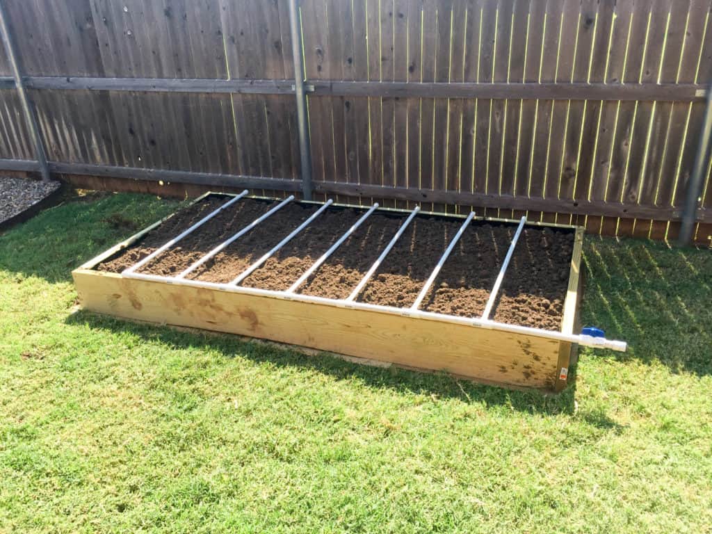 raised bed