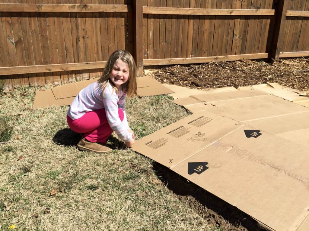 laying cardboard