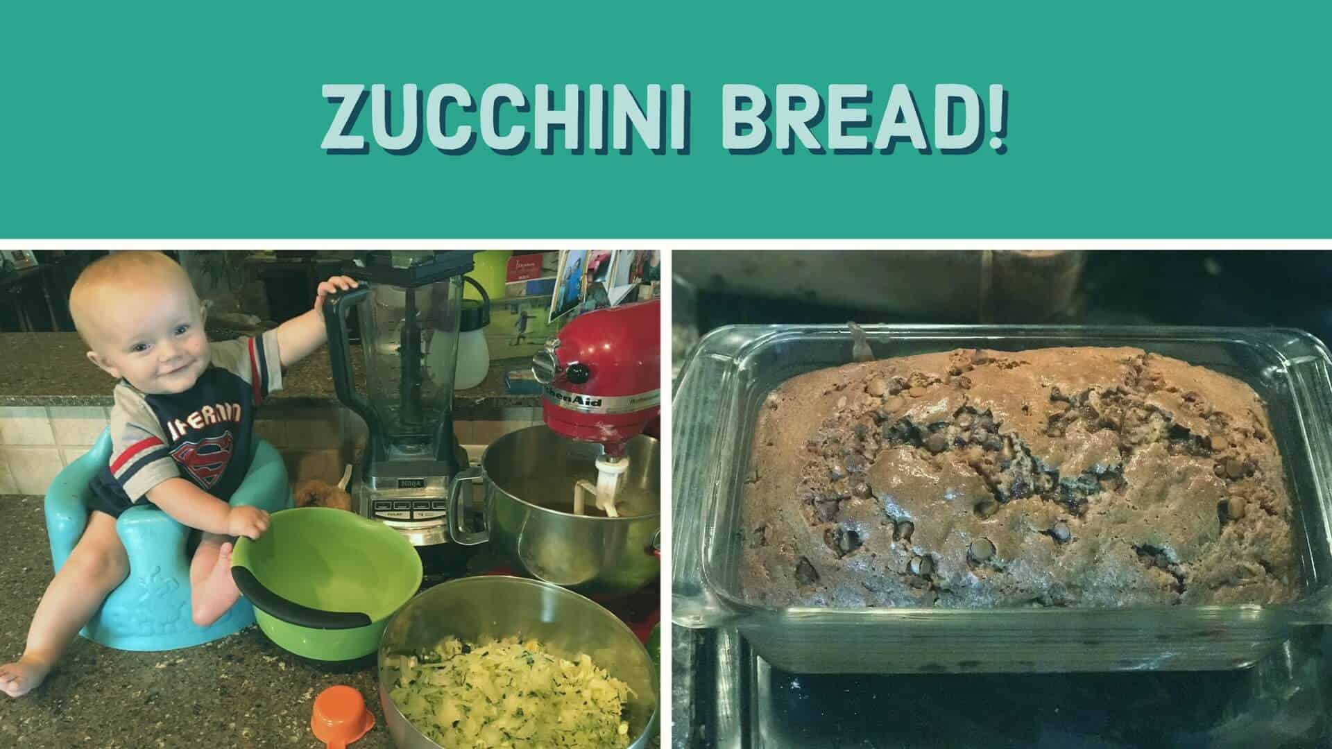 EASY and Delicious Zucchini Bread Recipe From Seed to Spoon Vegetable