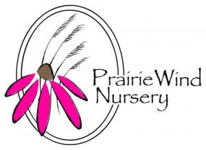 prairie_wind_pink[1]