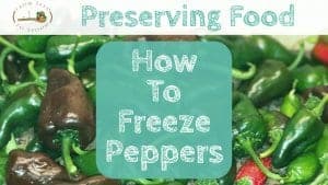 How to Preserve Peppers