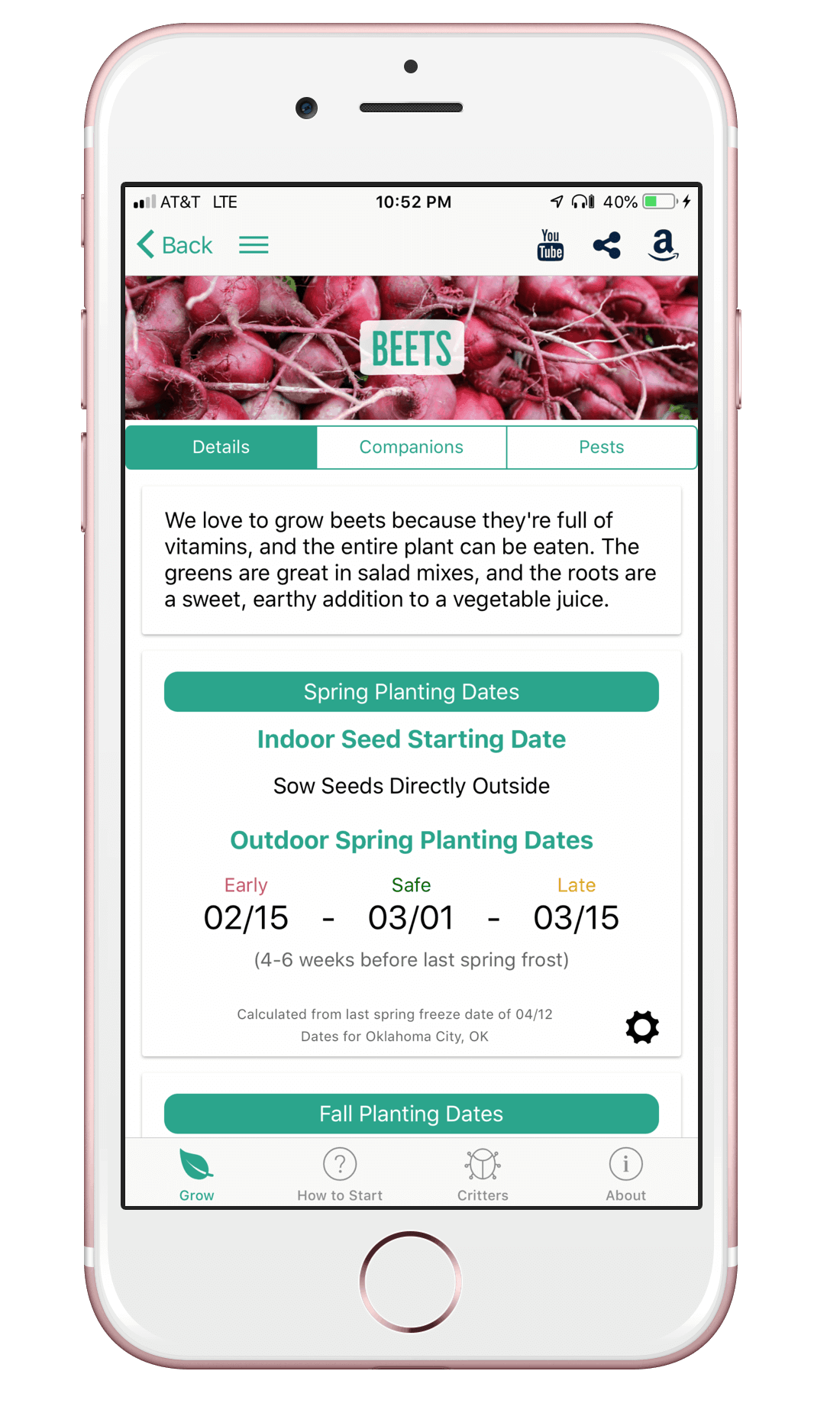 beets