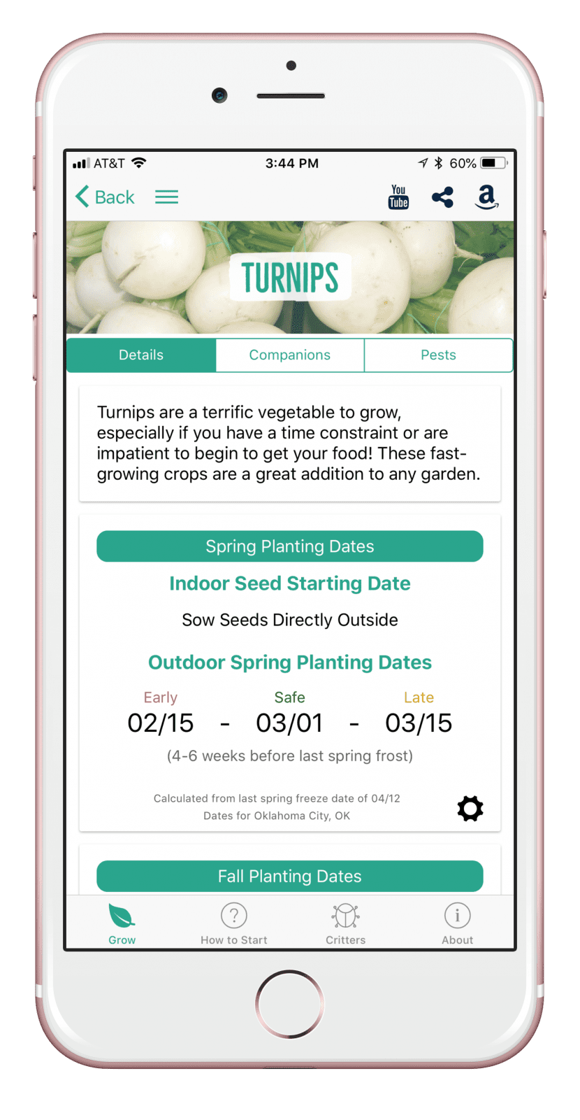 Turnips How to Grow and When to Plant in Your Backyard or Patio Garden! From Seed to Spoon