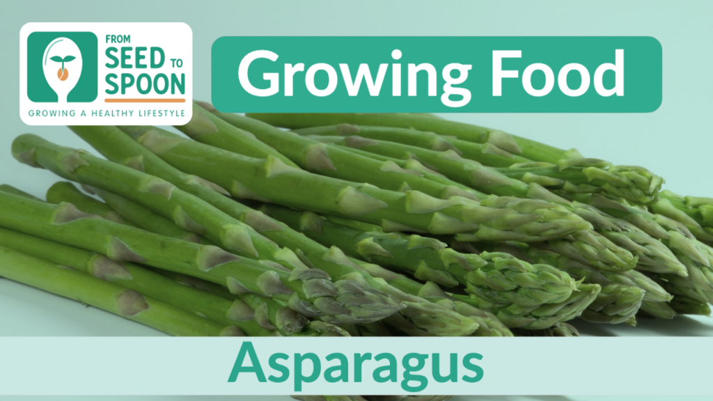 asparagus