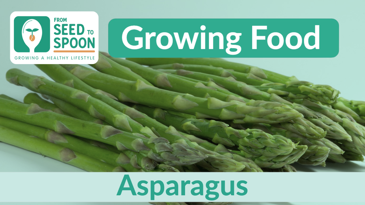 asparagus