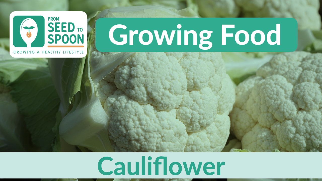 cauliflower