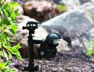 motionactivatedsprinkler