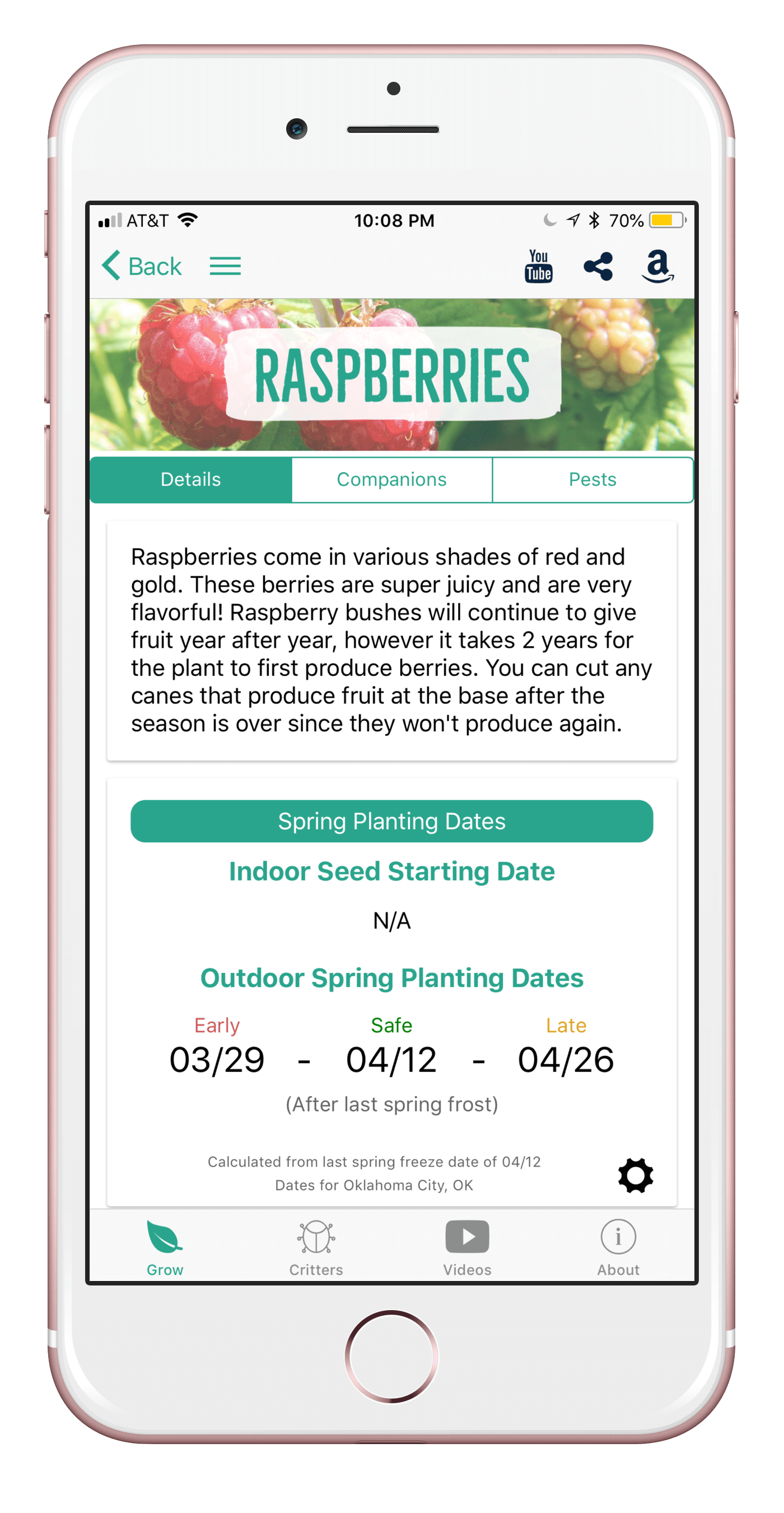 raspberries