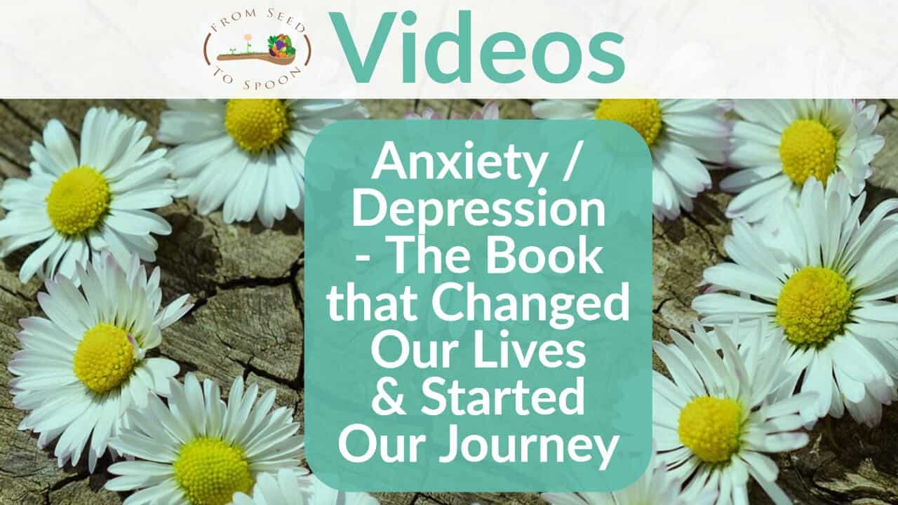 Anxiety _ Depression – The Book that Changed Our Lives & Started Our Journey