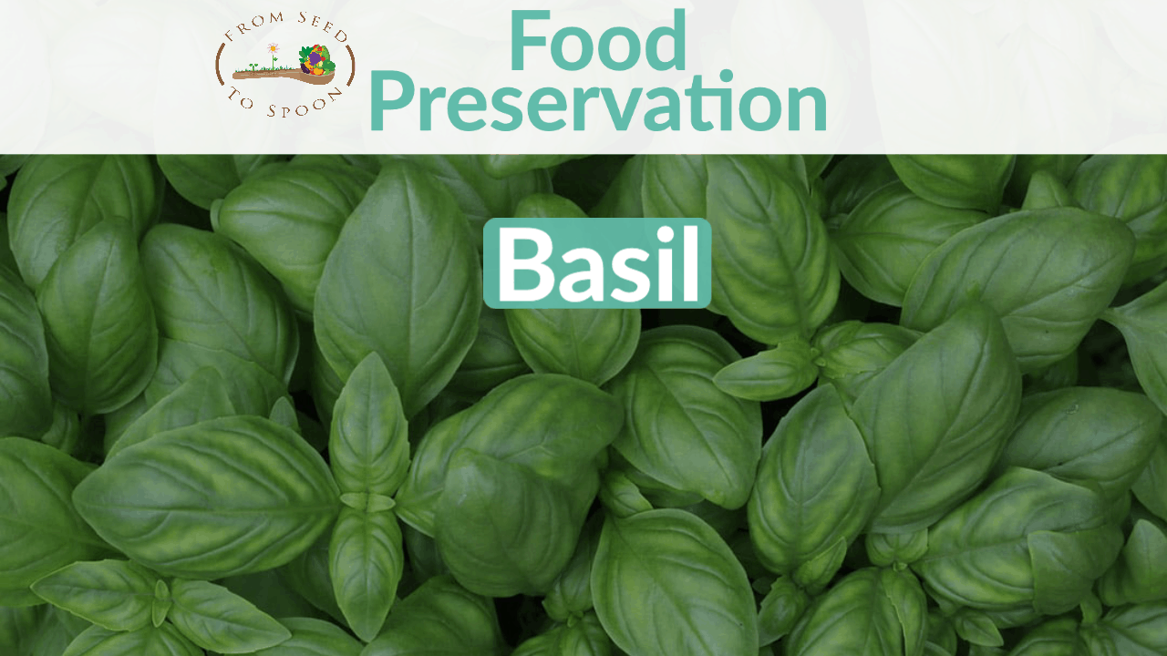 basil