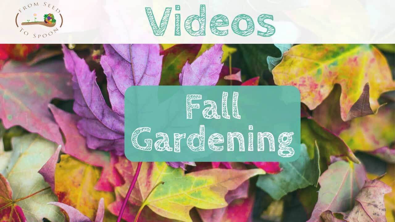 Fall Gardening video
