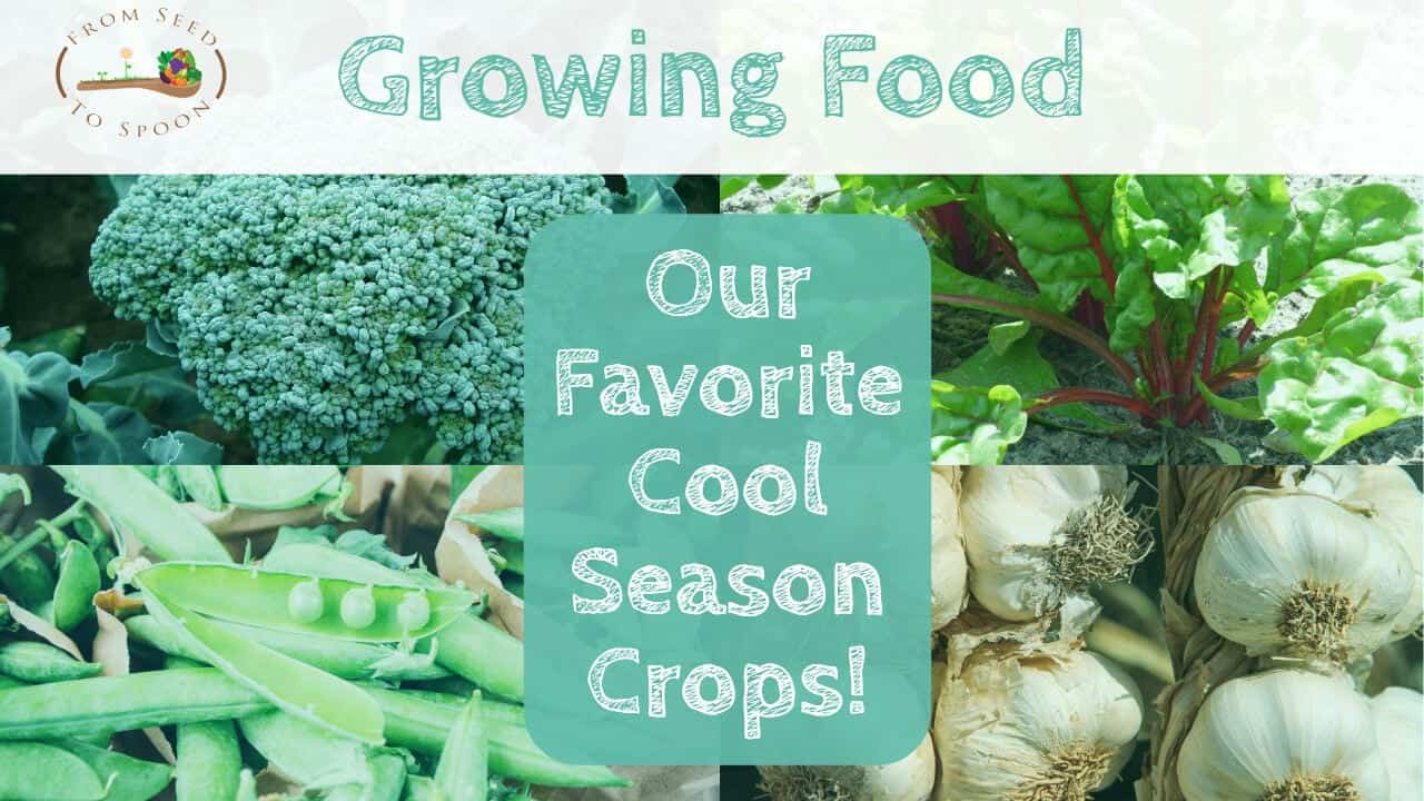 Our Favorite Cool Season Crops