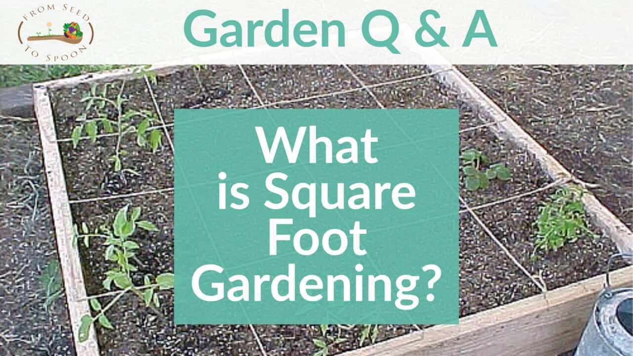 How We Use Square Foot Gardening To Maximize Our Planting Space In Our 