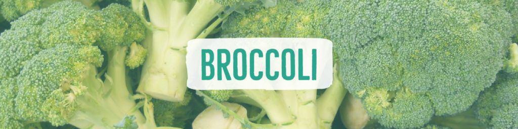 broccoli-header