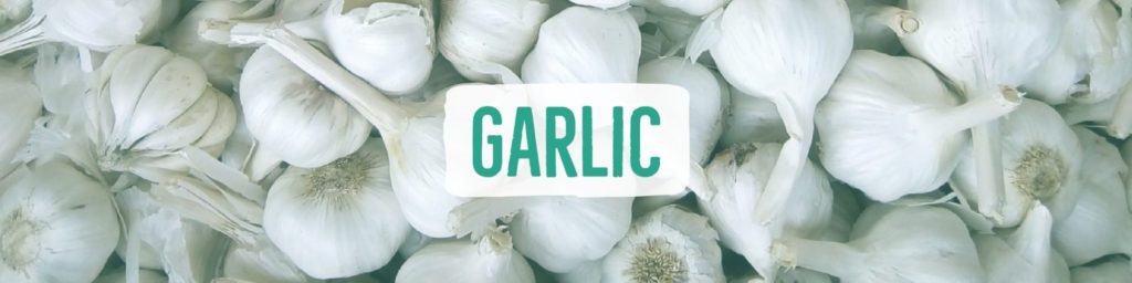 garlic-header