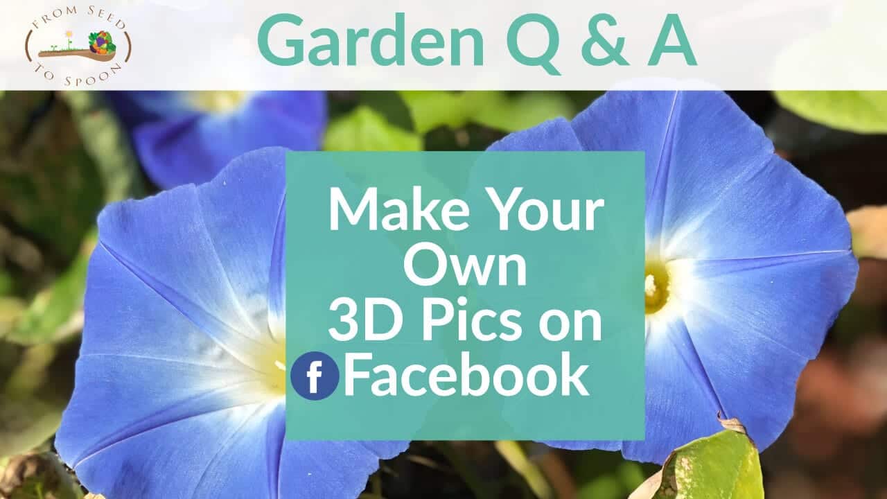 Q&A_ How to Creat 3D Pic