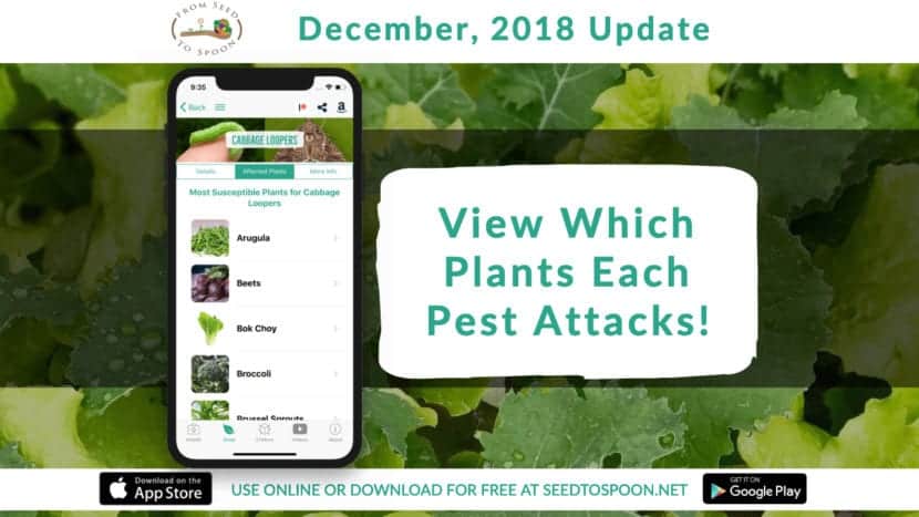 This update adds one of our most frequently requested features to our From Seed to Spoon app that makes growing food simple. You can now view plants that are typically attacked by each pest! We also added several new plants and critters, and will be bringing you more over the next few updates. Email us at info@seedtospoon.net or contact us on social media to let us know what you'd like to see added!
