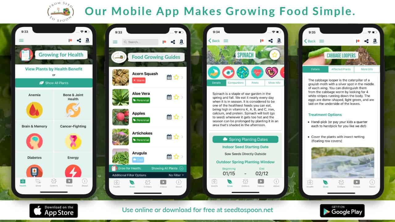 Introducing The Free From Seed To Spoon Garden Planning Growing Guides  Mobile App For Ios, Android, And Any Web Browser! – From Seed To Spoon  Vegetable Garden Planner Mobile App