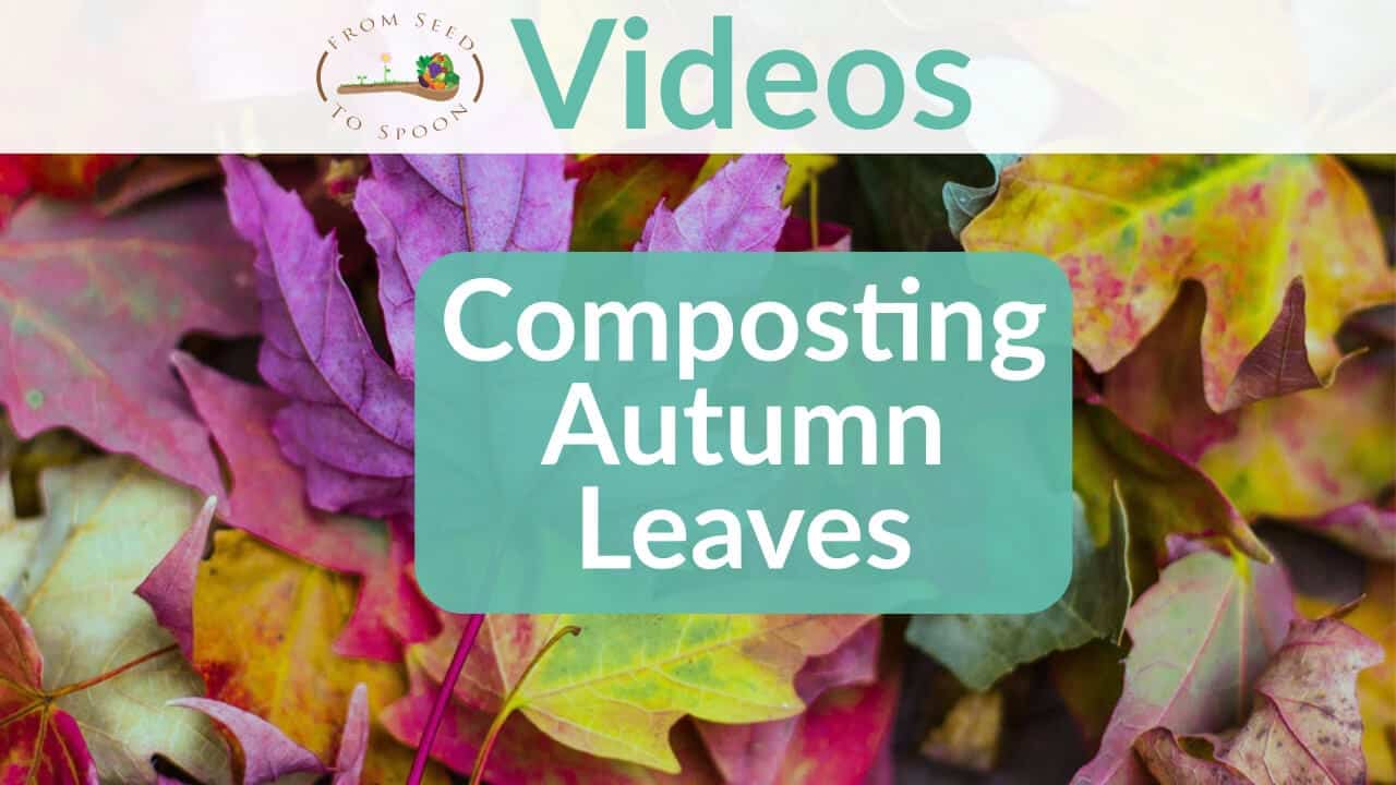 Composting video
