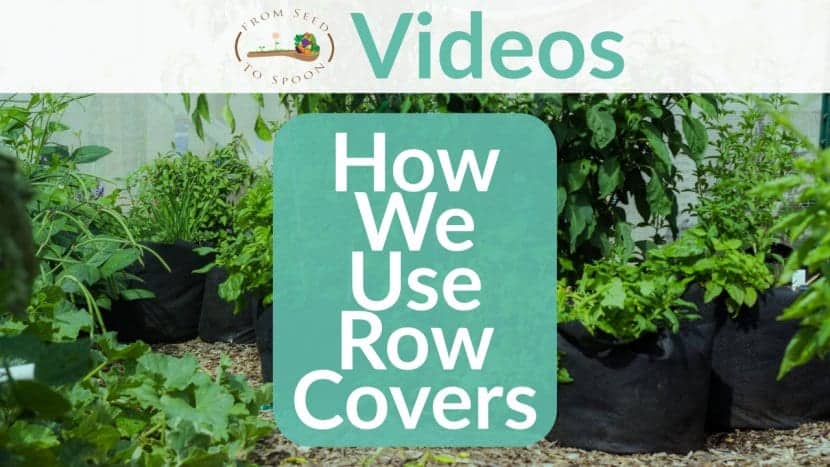 How We Use Row Covers