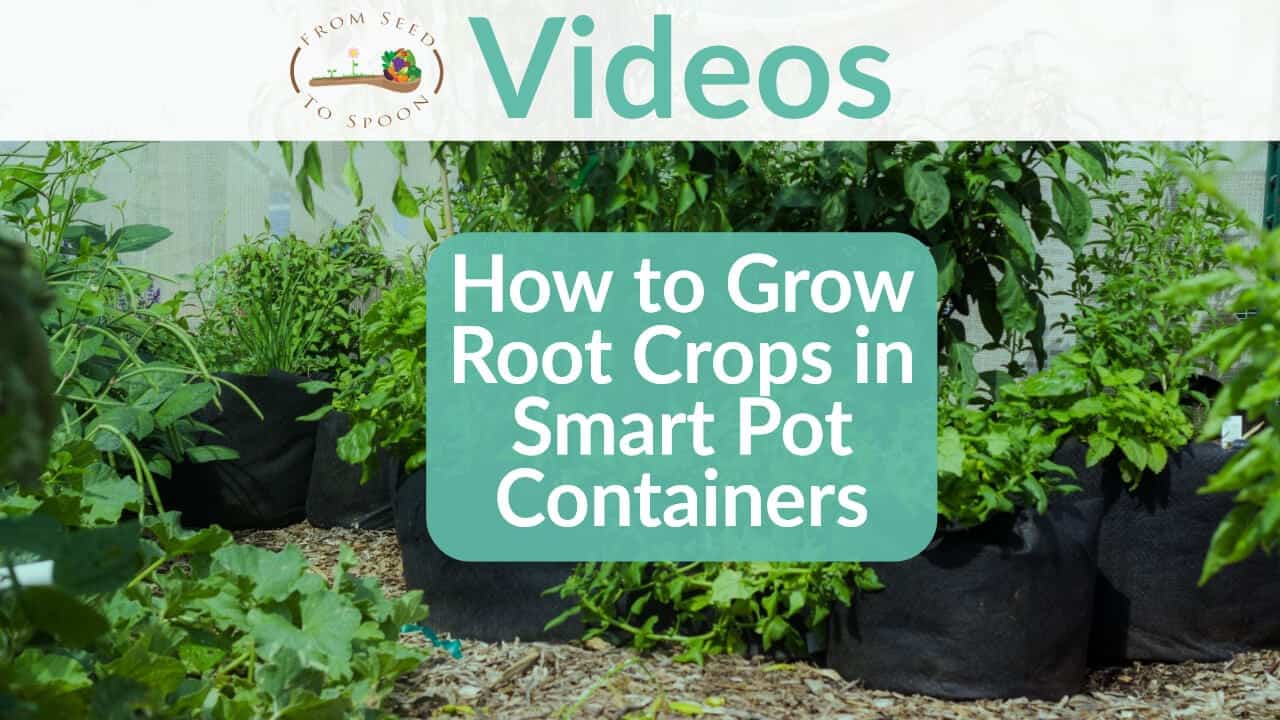 How to Grow Root Crops in Smart Pot Containers