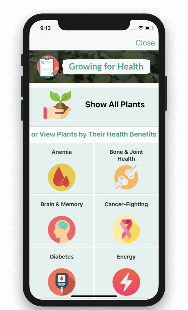 From Seed to Spoon – Growing for Health