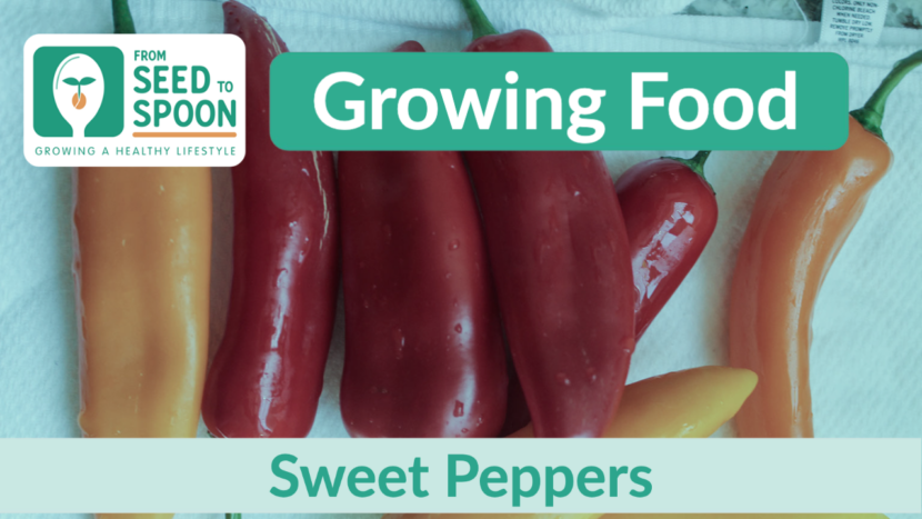 sweet peppers