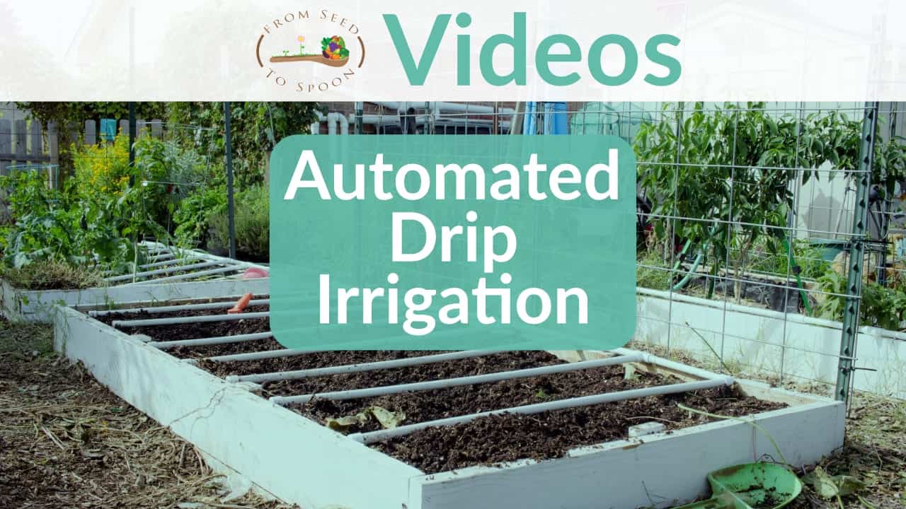 Automated Drip Irrigation