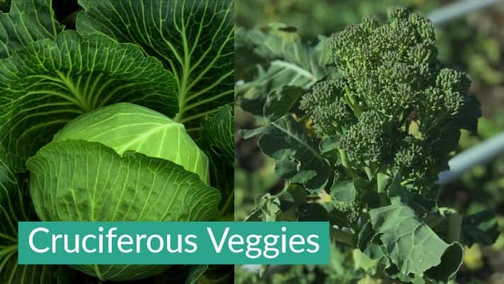 Cruciferous