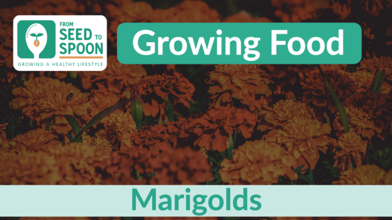 marigolds