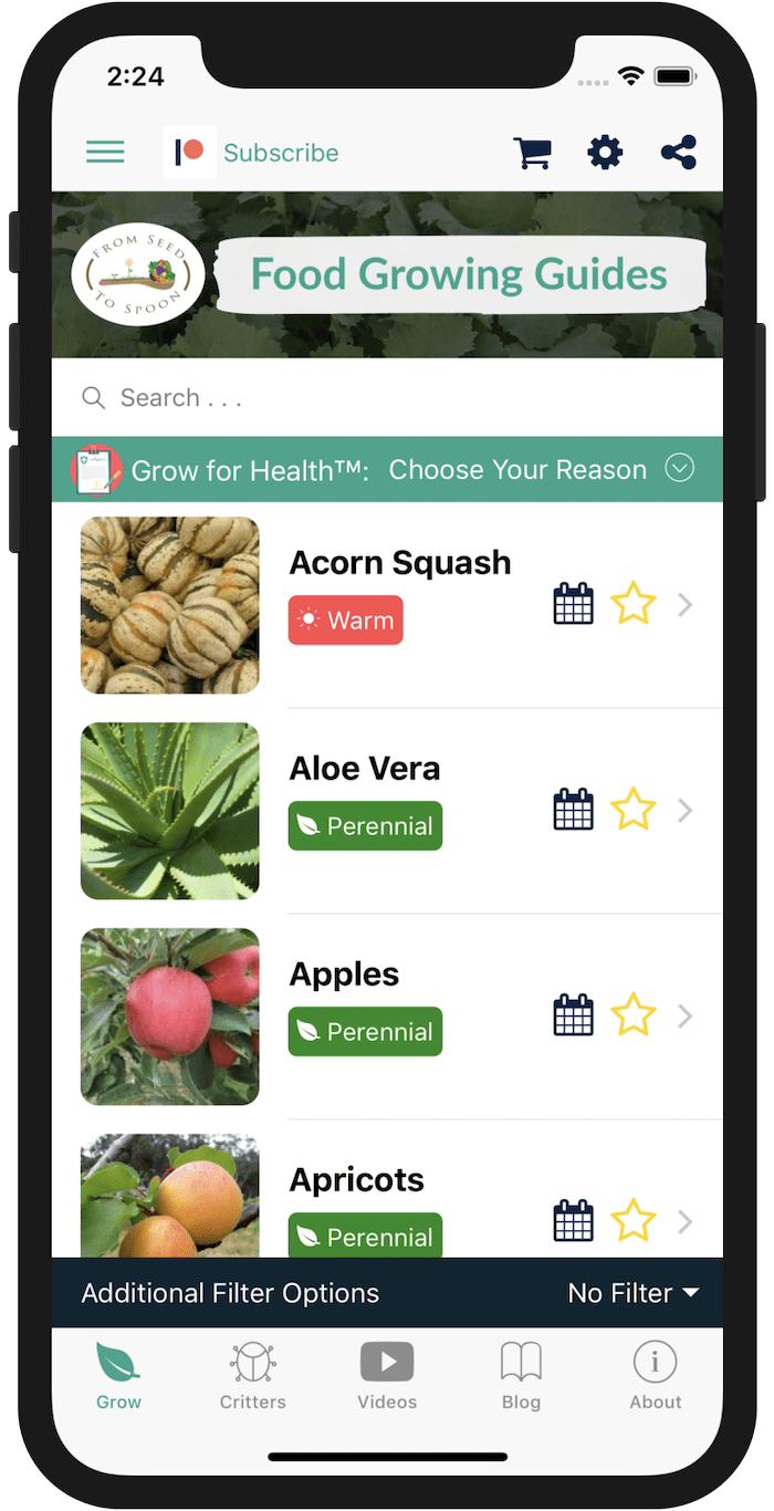 Screen Shot 2019-02-08 at 2.24.50 PM