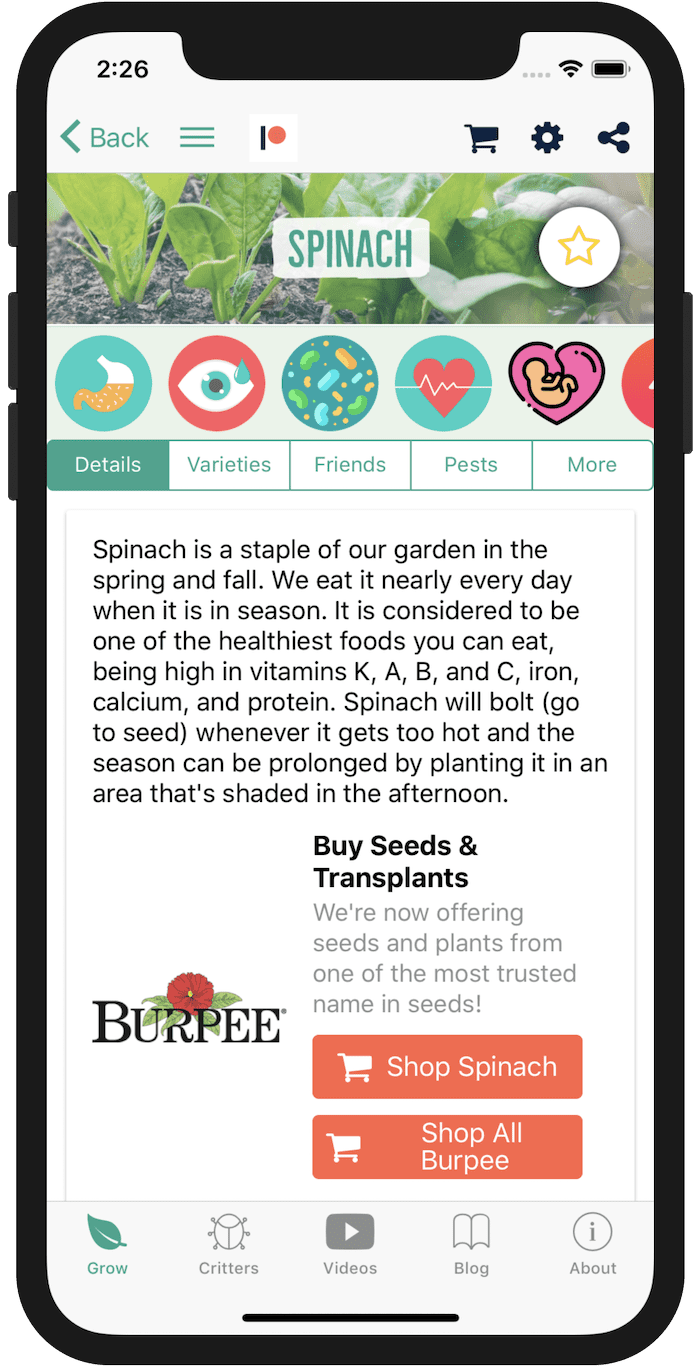 Screen Shot 2019-02-08 at 2.26.41 PM