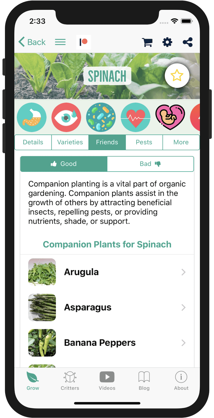 Screen Shot 2019-02-08 at 2.33.59 PM