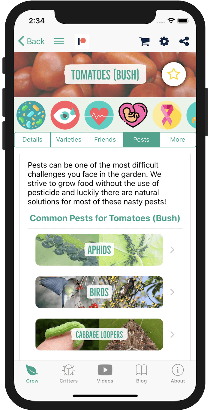 Screen Shot 2019-02-08 at 2.34.38 PM