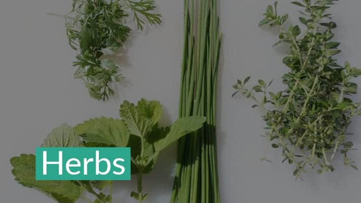 Herbs