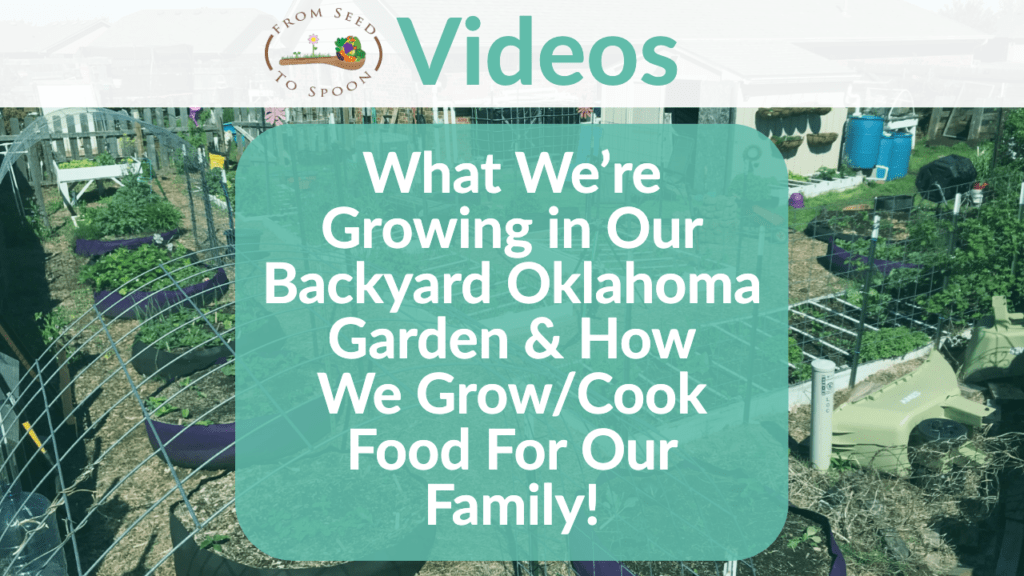 What We Re Growing In Our Backyard Oklahoma Garden How We Grow Cook Food For Our Family From Seed To Spoon Vegetable Garden Planner Mobile App