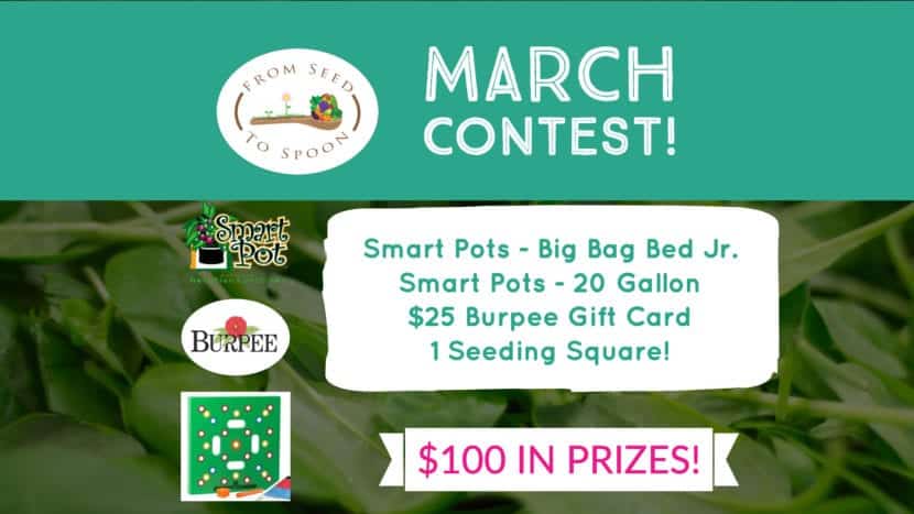 March Giveaway