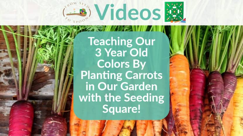 Seeding Square video