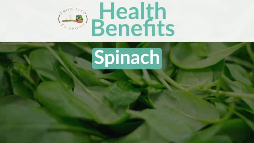 Spinach health benefits