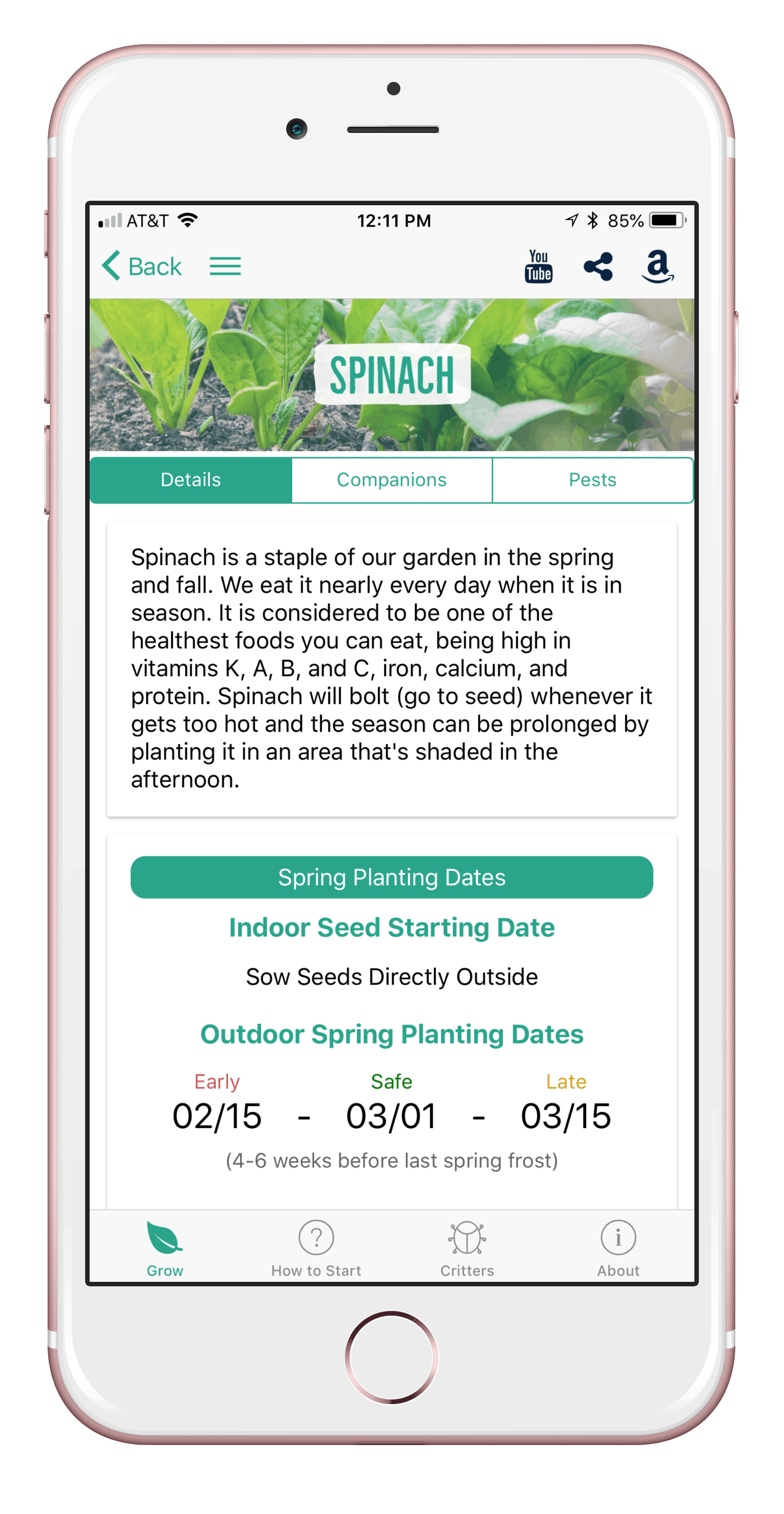 Which Pests Attack Spinach & How to Manage Organically! From Seed to