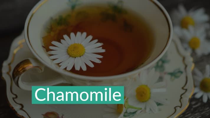 Chamomile