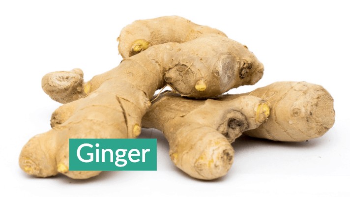 Ginger