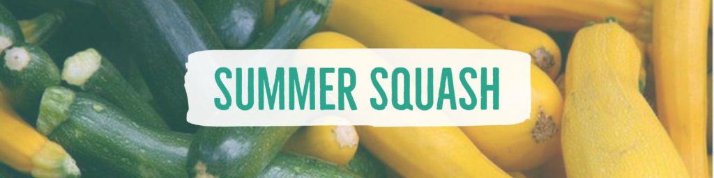 summersquash-header