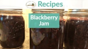 Blackberry Jam